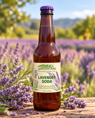 Organic Farm Lavender Soda