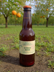 Organic Farm Citrus Soda